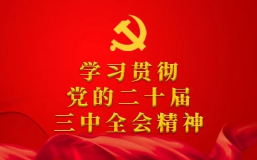 学习贯彻党的二十届三中全会精神